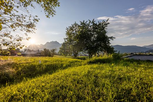 Teren w Sankt Johann in Tirol, Politischer Bezirk Kitzbühel