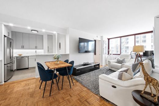 Residential complexes in Queensbridge Houses, Queens