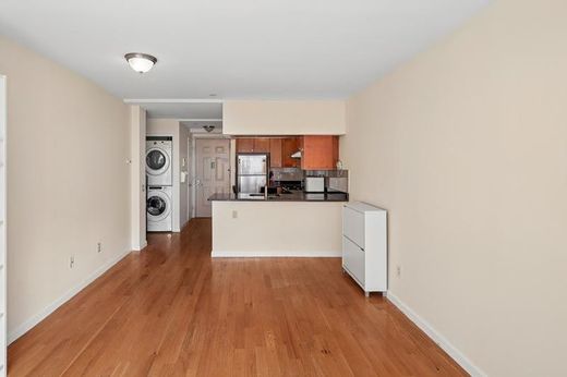 Komplex apartman Queensbridge Houses, Queens County