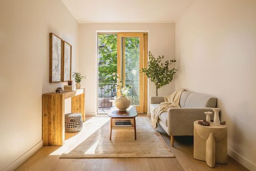 Casa di città a Brooklyn, Kings County