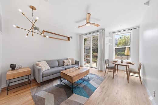 Residential complexes in South Brooklyn, Kings County