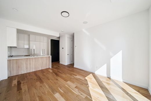 Residential complexes in Brooklyn, Kings County