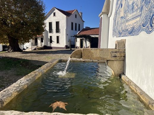 호화 저택 / Sobral de Monte Agraço, Distrito de Lisboa