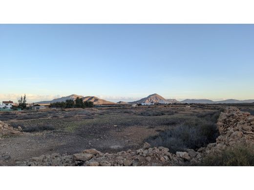 토지 / Antigua, Provincia de Las Palmas