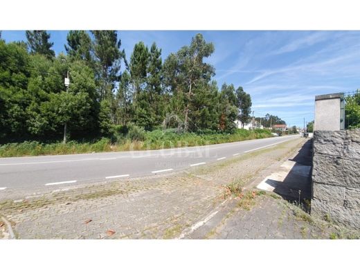 Teren w Santa Maria da Feira, Distrito de Aveiro