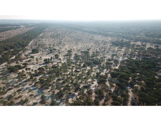 Αγροτεμάχιο σε Grândola, Distrito de Setúbal