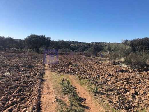 Luksusowy dom w Valencia de Alcántara, Provincia de Cáceres