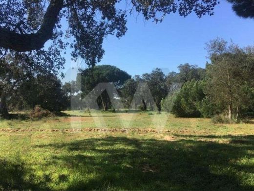 Terrain à Palmela, Distrito de Setúbal