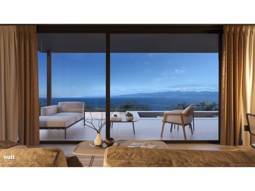 단독 저택 / São Roque do Pico, Azores