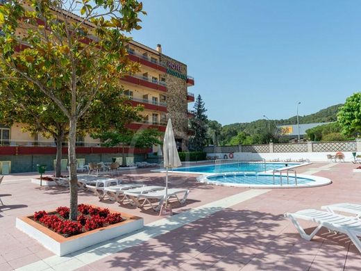 Hotel w Tossa de Mar, Província de Girona