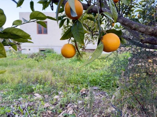 Sant Josep de sa Talaia, Illes Balearsの高級住宅