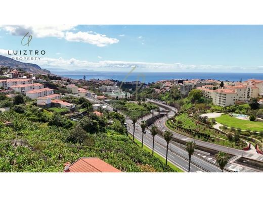 Teren w Funchal, Madeira