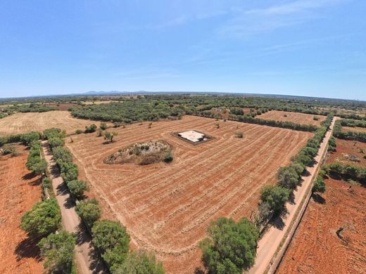 Land in Campos, Province of Balearic Islands
