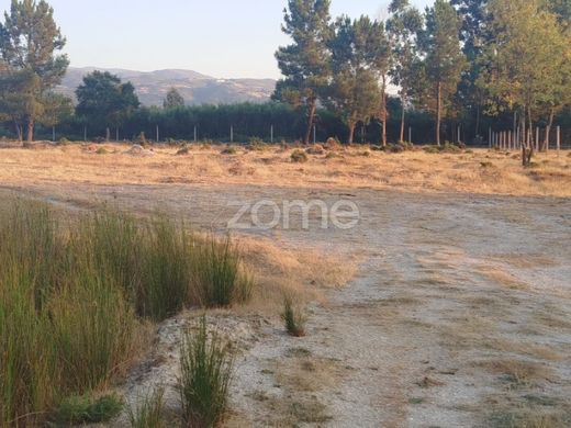 地皮  Seia, Distrito da Guarda