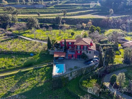 Luxe woning in Resende, Distrito de Viseu