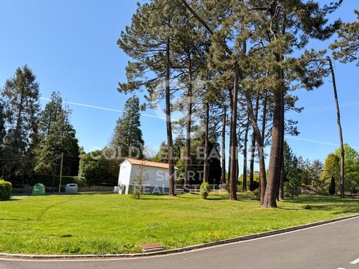Arsa Oleiros, Provincia da Coruña
