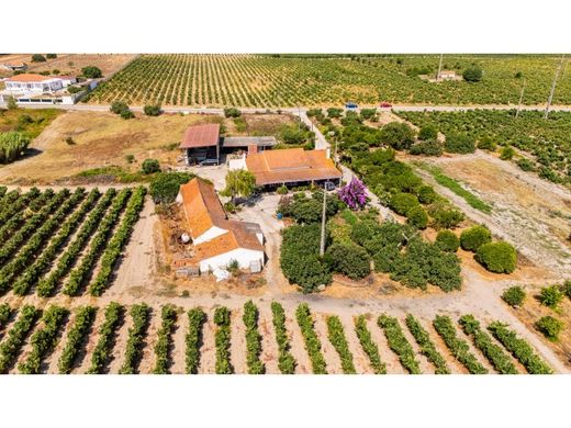 농장 / Palmela, Distrito de Setúbal