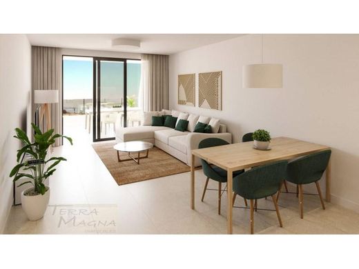 Adeje, サンタ・クルス・デ・テネリフェのアパートメント