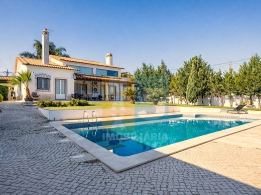 Luxury home in Alpiarça, Distrito de Santarém