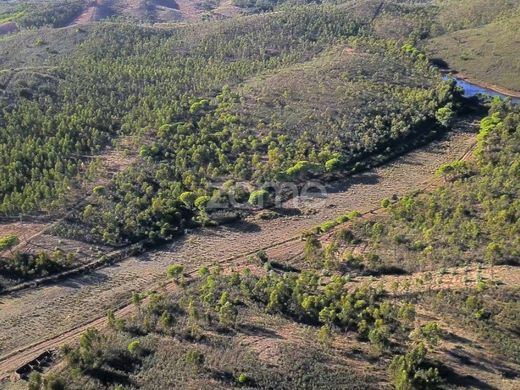 Portimão, Distrito de Faroの土地