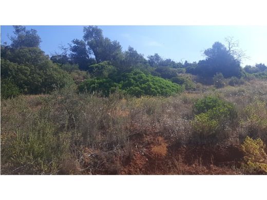 Terreno a Loulé, Distrito de Faro