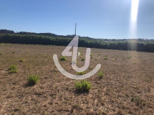 Land in Caldas da Rainha, Distrito de Leiria