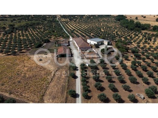 Boerderij in Reguengos de Monsaraz, Distrito de Évora