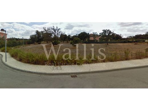 أرض ﻓﻲ Benavente, Distrito de Santarém