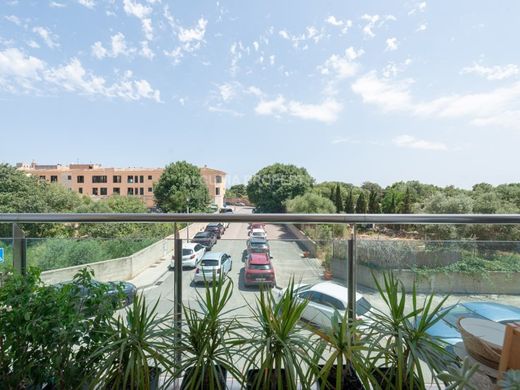 Daire Alcúdia, Illes Balears