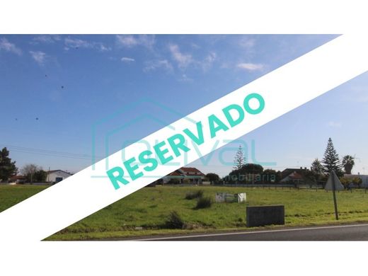 Terrain à Benavente, Distrito de Santarém
