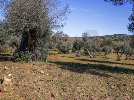 Arsa Alter do Chão, Distrito de Portalegre