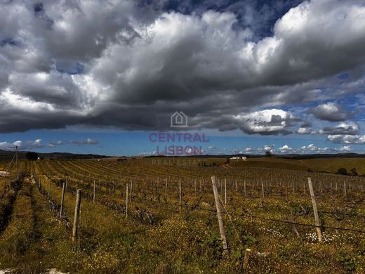 Terreno a Alandroal, Distrito de Évora