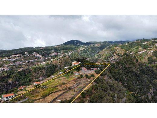Santa Cruz, Madeiraの土地
