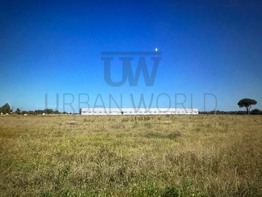 Terrain à Palmela, Distrito de Setúbal