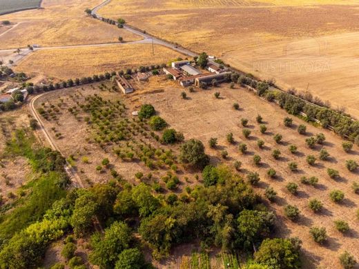 Grundstück in Beja, Distrito de Beja