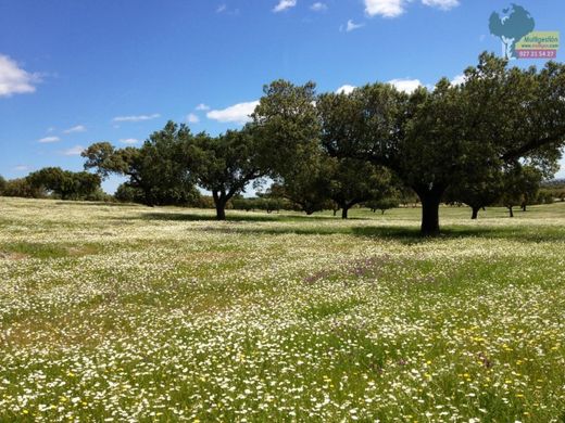 Βίλα σε Salorino, Provincia de Cáceres