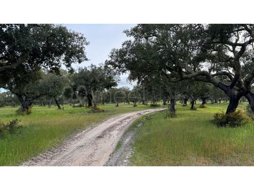 Farma w Ferreira do Alentejo, Distrito de Beja