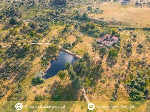 Bauernhof in Castelo Branco, Distrito de Castelo Branco