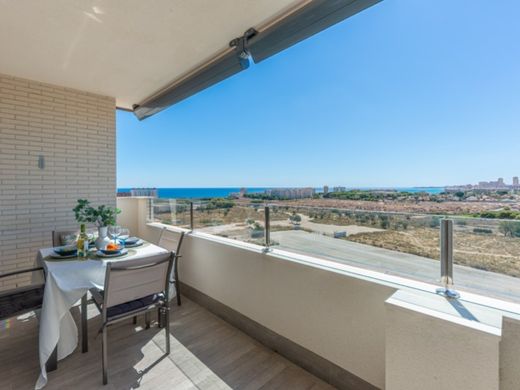 Apartamento - El Campello, Provincia de Alicante