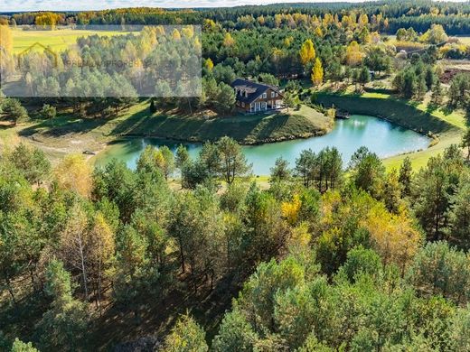 Luxury home in Trakai, Vilnius County