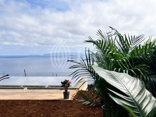 호화 저택 / Santa Cruz, Madeira