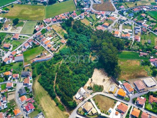 Αγροτεμάχιο σε Santo Tirso, Distrito do Porto