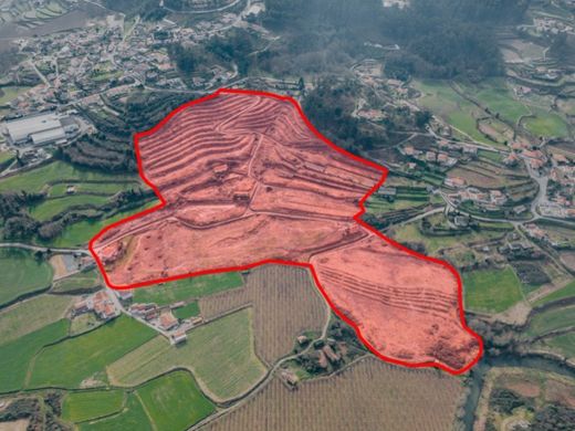 Luksusowy dom w Felgueiras, Distrito do Porto