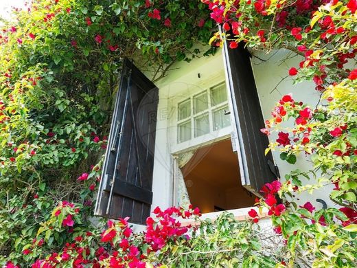 Maison de luxe à Sintra, Lisbonne