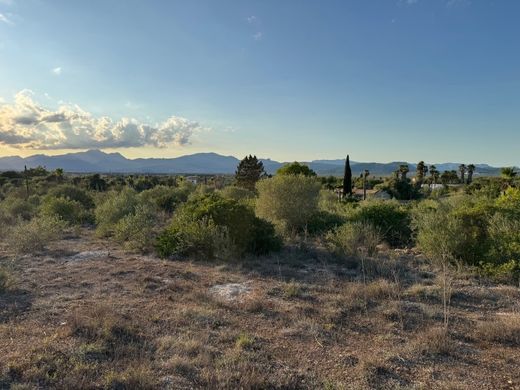 Πολυτελή κατοικία σε Muro, Illes Balears