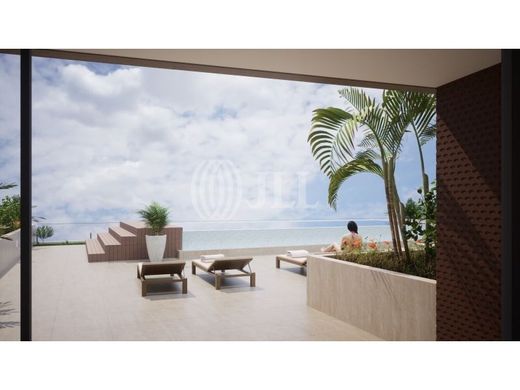 Apartment in Câmara de Lobos, Madeira