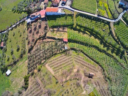 豪宅  Lamego, Distrito de Viseu