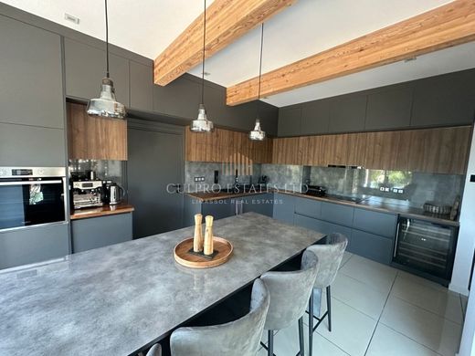 Villa Soúni, Soúni-Zanakiá