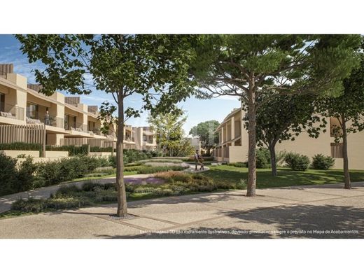 Daire Sines, Distrito de Setúbal