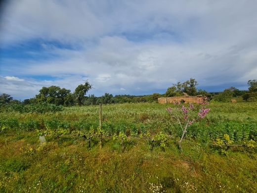 Rural or Farmhouse in Grândola, Distrito de Setúbal